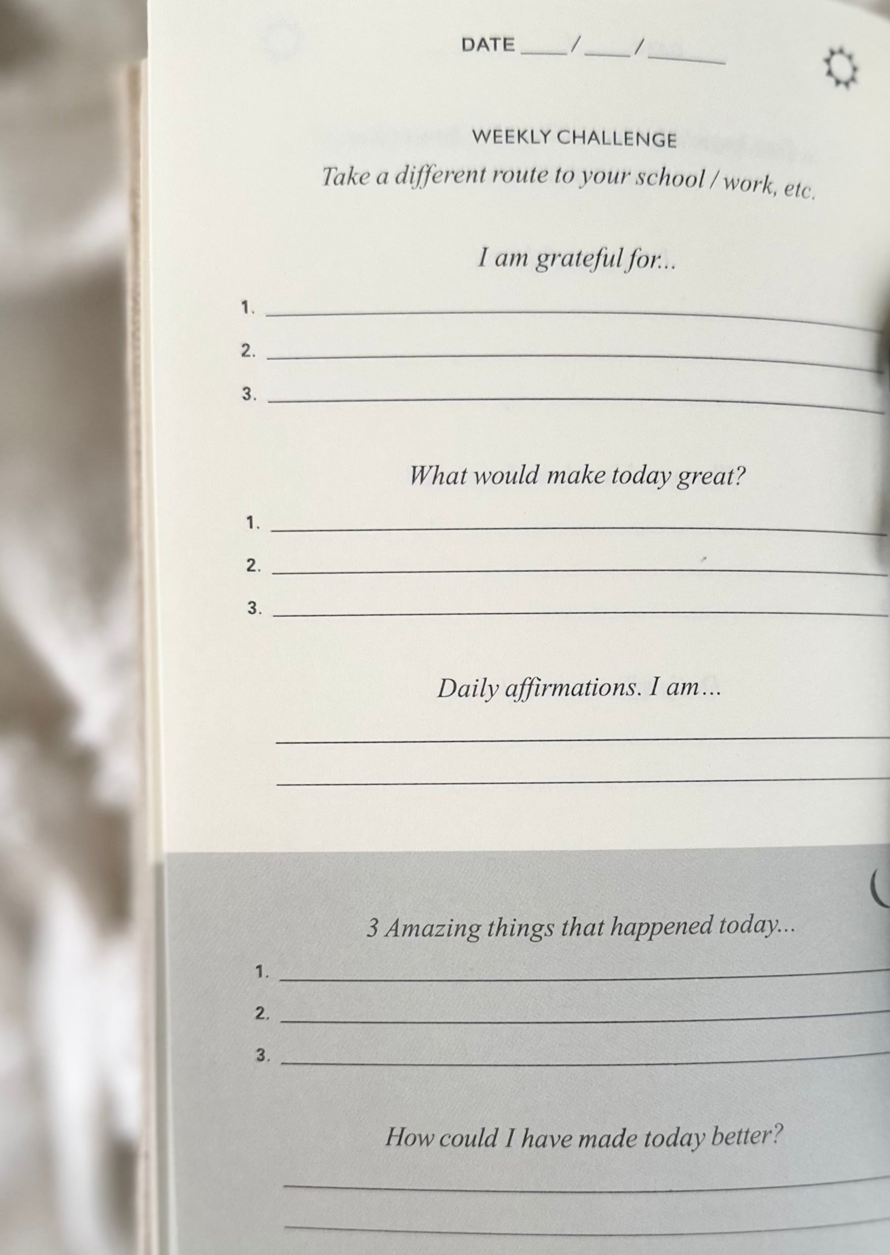 DAILY GRATITUDE JOURNAL Lathered In Love LLC